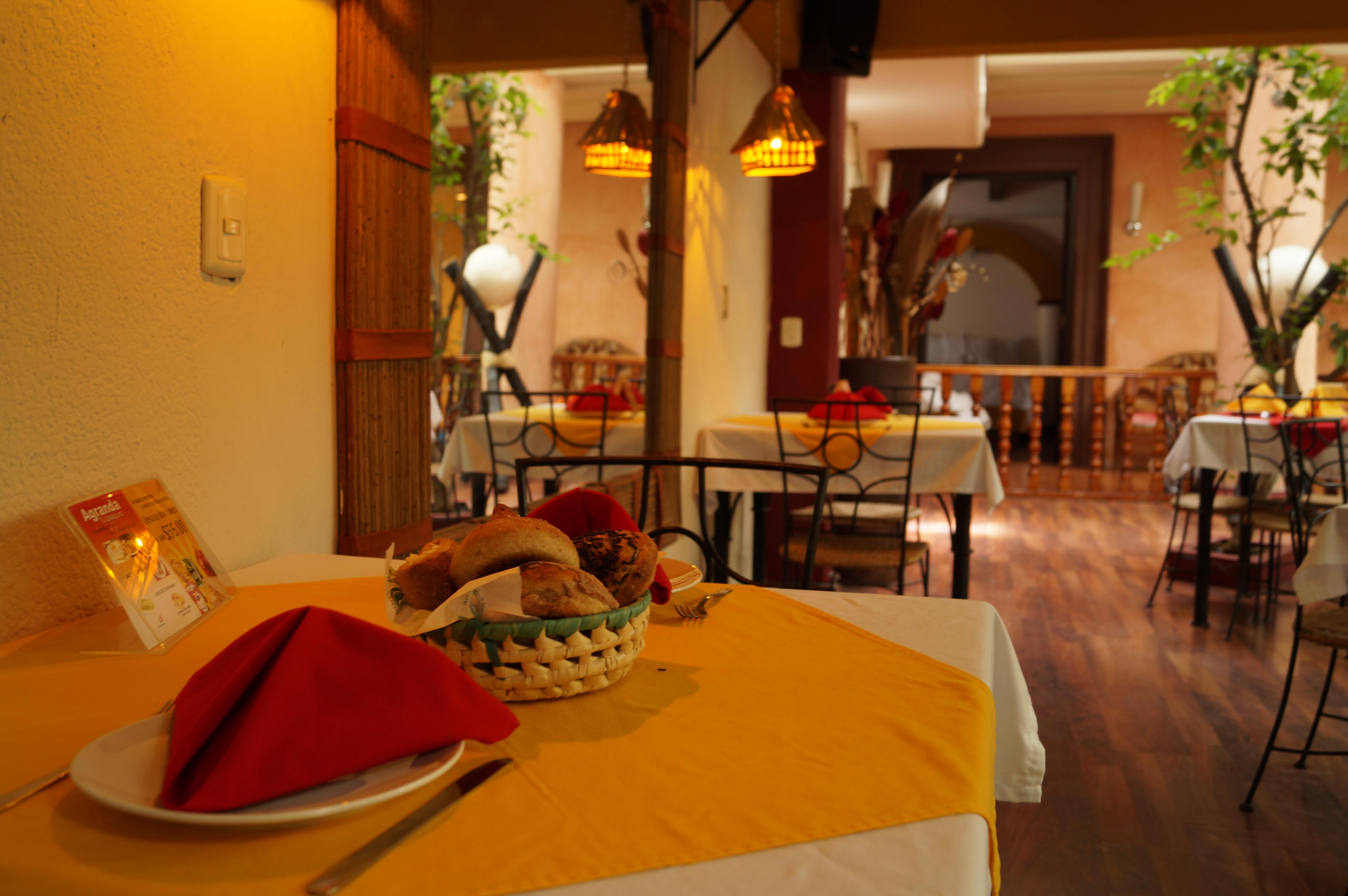 San Cristóbal de Las Casas Hotel Jardines Del Centro מראה חיצוני תמונה